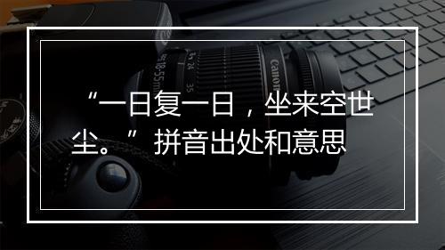 “一日复一日，坐来空世尘。”拼音出处和意思