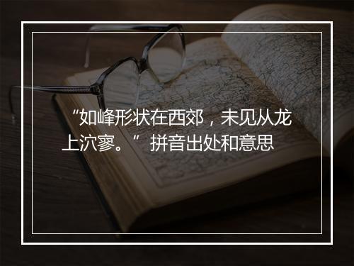 “如峰形状在西郊，未见从龙上泬寥。”拼音出处和意思