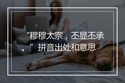 “穆穆太宗，丕显丕承。”拼音出处和意思