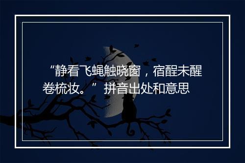 “静看飞蝇触晓窗，宿酲未醒卷梳妆。”拼音出处和意思