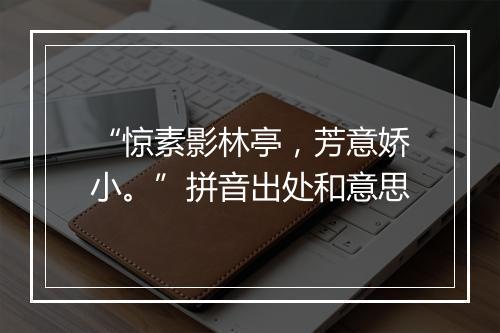 “惊素影林亭，芳意娇小。”拼音出处和意思