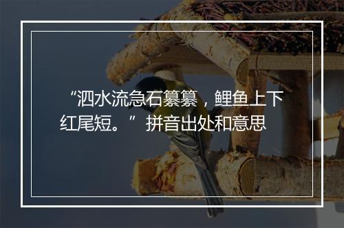 “泗水流急石纂纂，鲤鱼上下红尾短。”拼音出处和意思