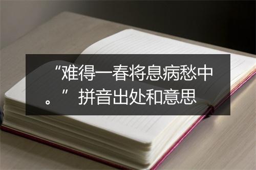 “难得一春将息病愁中。”拼音出处和意思