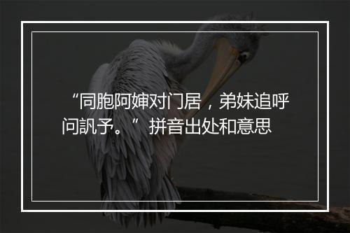 “同胞阿婶对门居，弟妹追呼问訉予。”拼音出处和意思