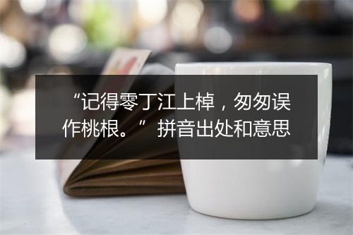 “记得零丁江上棹，匆匆误作桃根。”拼音出处和意思