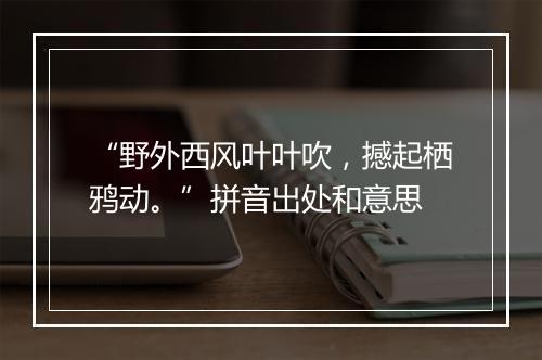 “野外西风叶叶吹，撼起栖鸦动。”拼音出处和意思