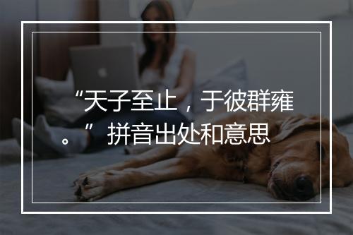 “天子至止，于彼群雍。”拼音出处和意思