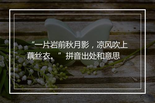 “一片岩前秋月影，凉风吹上藕丝衣。”拼音出处和意思