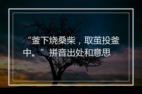 “釜下烧桑柴，取茧投釜中。”拼音出处和意思