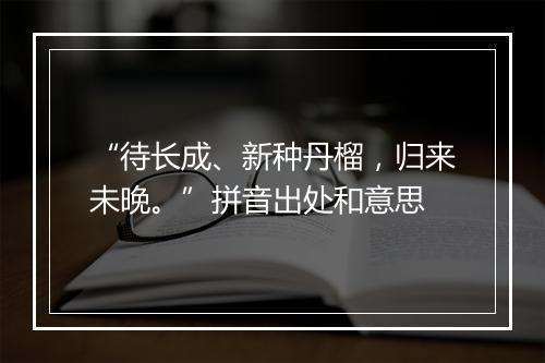 “待长成、新种丹榴，归来未晚。”拼音出处和意思