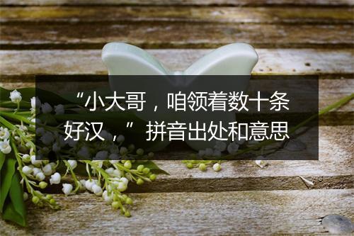 “小大哥，咱领着数十条好汉，”拼音出处和意思