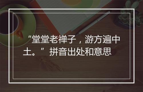 “堂堂老禅子，游方遍中土。”拼音出处和意思