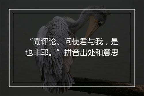 “閒评论、问使君与我，是也非耶。”拼音出处和意思