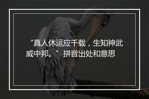 “真人休运应千载，生知神武威中邦。”拼音出处和意思