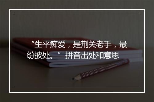 “生平痴爱，是荆关老手，最纷披处。”拼音出处和意思