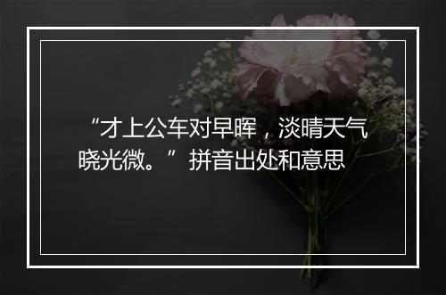 “才上公车对早晖，淡晴天气晓光微。”拼音出处和意思