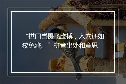 “拱门岂畏飞鹰搏，入穴还如狡兔藏。”拼音出处和意思