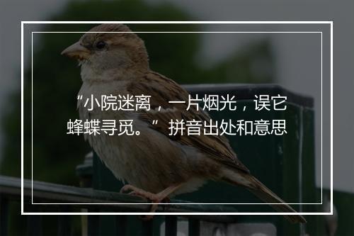 “小院迷离，一片烟光，误它蜂蝶寻觅。”拼音出处和意思