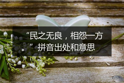 “民之无良，相怨一方。”拼音出处和意思