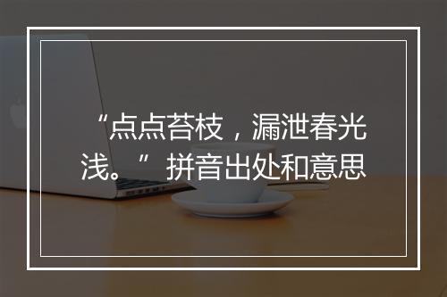 “点点苔枝，漏泄春光浅。”拼音出处和意思