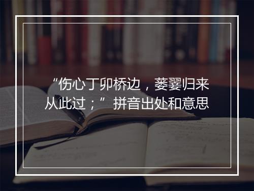 “伤心丁卯桥边，蒌翣归来从此过；”拼音出处和意思