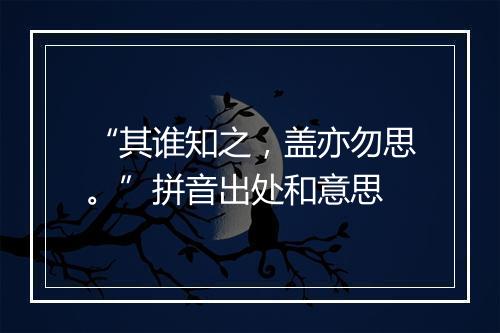 “其谁知之，盖亦勿思。”拼音出处和意思