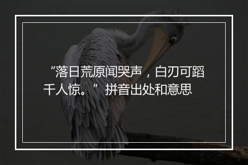 “落日荒原闻哭声，白刃可蹈千人惊。”拼音出处和意思