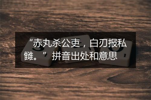 “赤丸杀公吏，白刃报私雠。”拼音出处和意思