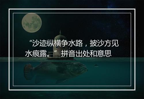 “沙迹纵横争水路，披沙方见水痕露。”拼音出处和意思