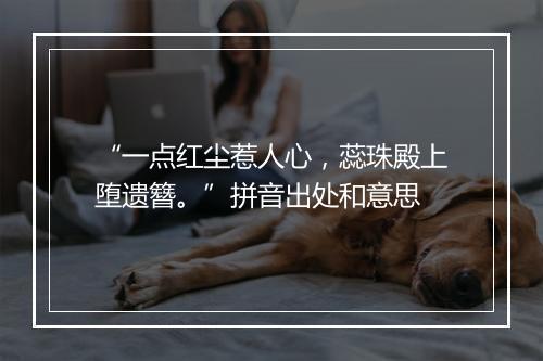 “一点红尘惹人心，蕊珠殿上堕遗簪。”拼音出处和意思