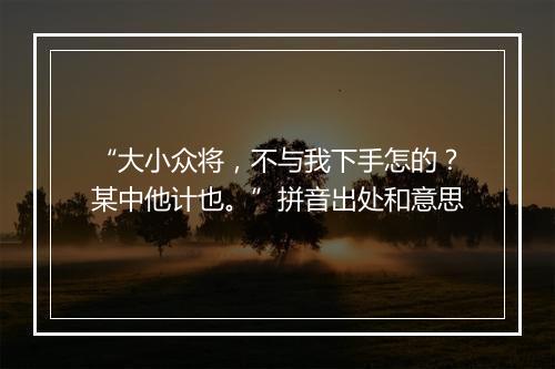 “大小众将，不与我下手怎的？某中他计也。”拼音出处和意思