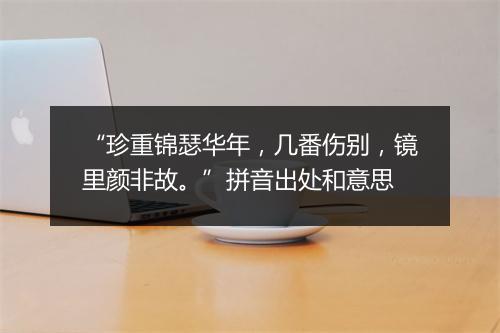 “珍重锦瑟华年，几番伤别，镜里颜非故。”拼音出处和意思