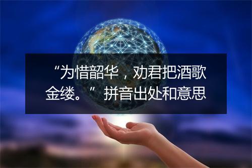 “为惜韶华，劝君把酒歌金缕。”拼音出处和意思