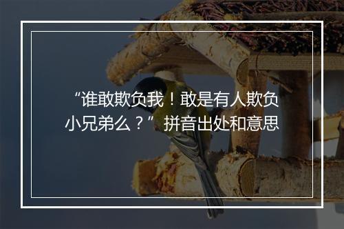 “谁敢欺负我！敢是有人欺负小兄弟么？”拼音出处和意思