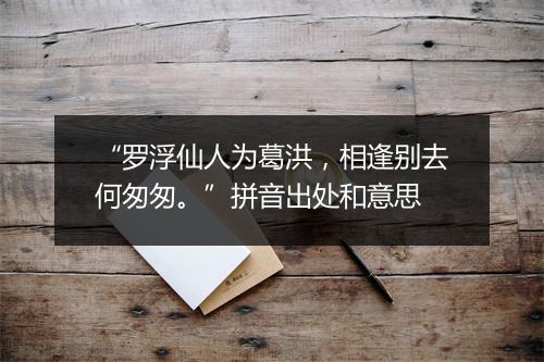 “罗浮仙人为葛洪，相逢别去何匆匆。”拼音出处和意思