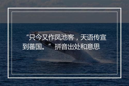 “只今又作凤池客，天语传宣到蕃国。”拼音出处和意思