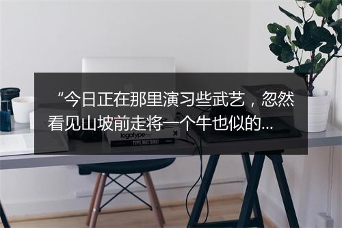 “今日正在那里演习些武艺，忽然看见山坡前走将一个牛也似的大虫。”拼音出处和意思