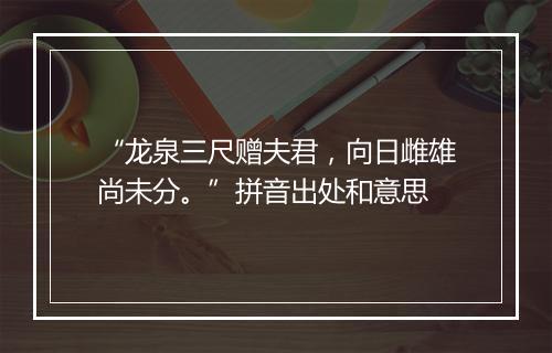 “龙泉三尺赠夫君，向日雌雄尚未分。”拼音出处和意思