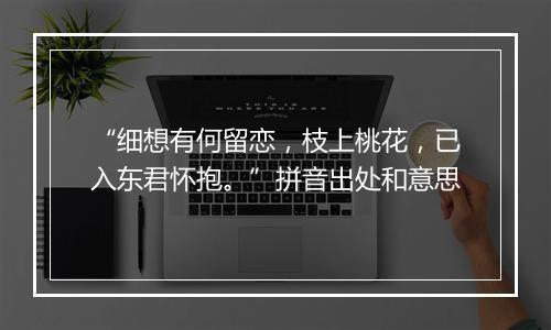 “细想有何留恋，枝上桃花，已入东君怀抱。”拼音出处和意思