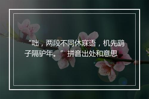 “咄，两段不同休寐语，机先鹞子隔驴年。”拼音出处和意思