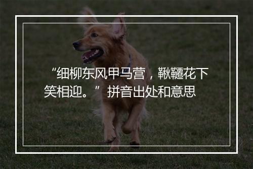 “细柳东风甲马营，鞦韆花下笑相迎。”拼音出处和意思