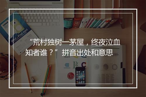 “荒村独树一茅屋，终夜泣血知者谁？”拼音出处和意思