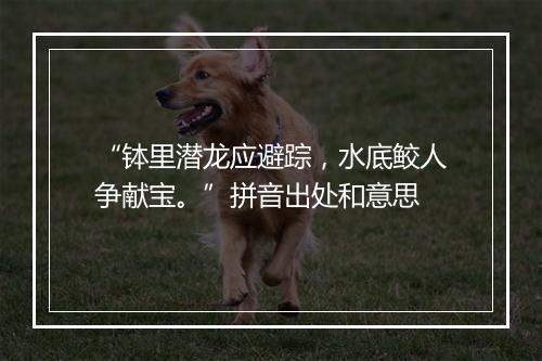 “钵里潜龙应避踪，水底鲛人争献宝。”拼音出处和意思