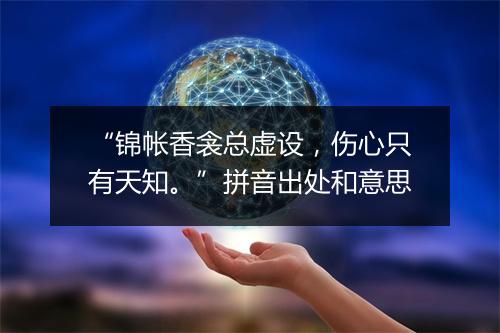 “锦帐香衾总虚设，伤心只有天知。”拼音出处和意思