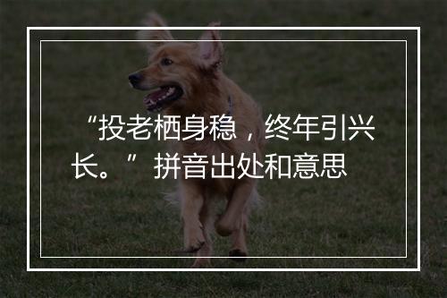 “投老栖身稳，终年引兴长。”拼音出处和意思