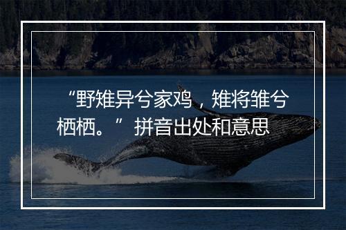 “野雉异兮家鸡，雉将雏兮栖栖。”拼音出处和意思