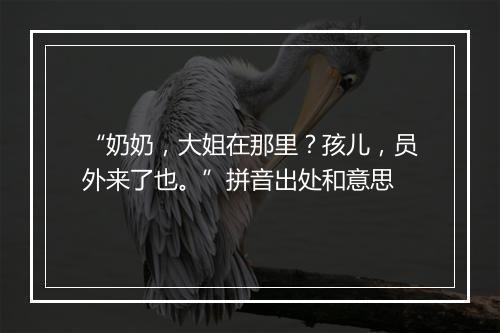 “奶奶，大姐在那里？孩儿，员外来了也。”拼音出处和意思