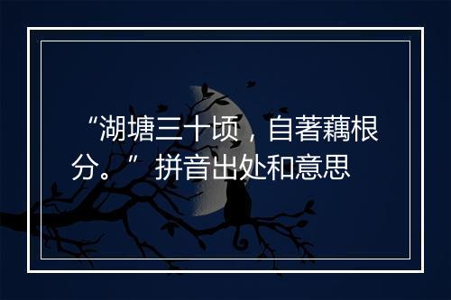 “湖塘三十顷，自著藕根分。”拼音出处和意思