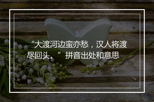 “大渡河边蛮亦愁，汉人将渡尽回头。”拼音出处和意思