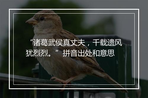 “诸葛武侯真丈夫，千载遗风犹烈烈。”拼音出处和意思